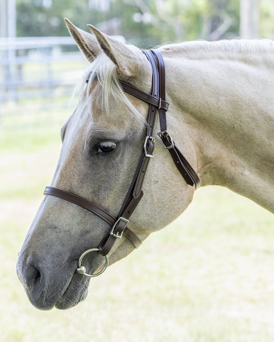 Brown English Bridle