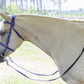 Purple English Bridle
