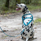 Aqua Green Dog Roading Harness