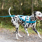 Aqua Green Dog Roading Harness
