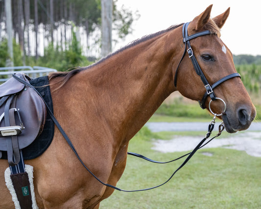 Black English Bridle