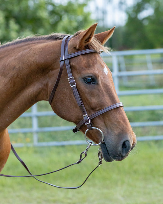 Brown English Bridle