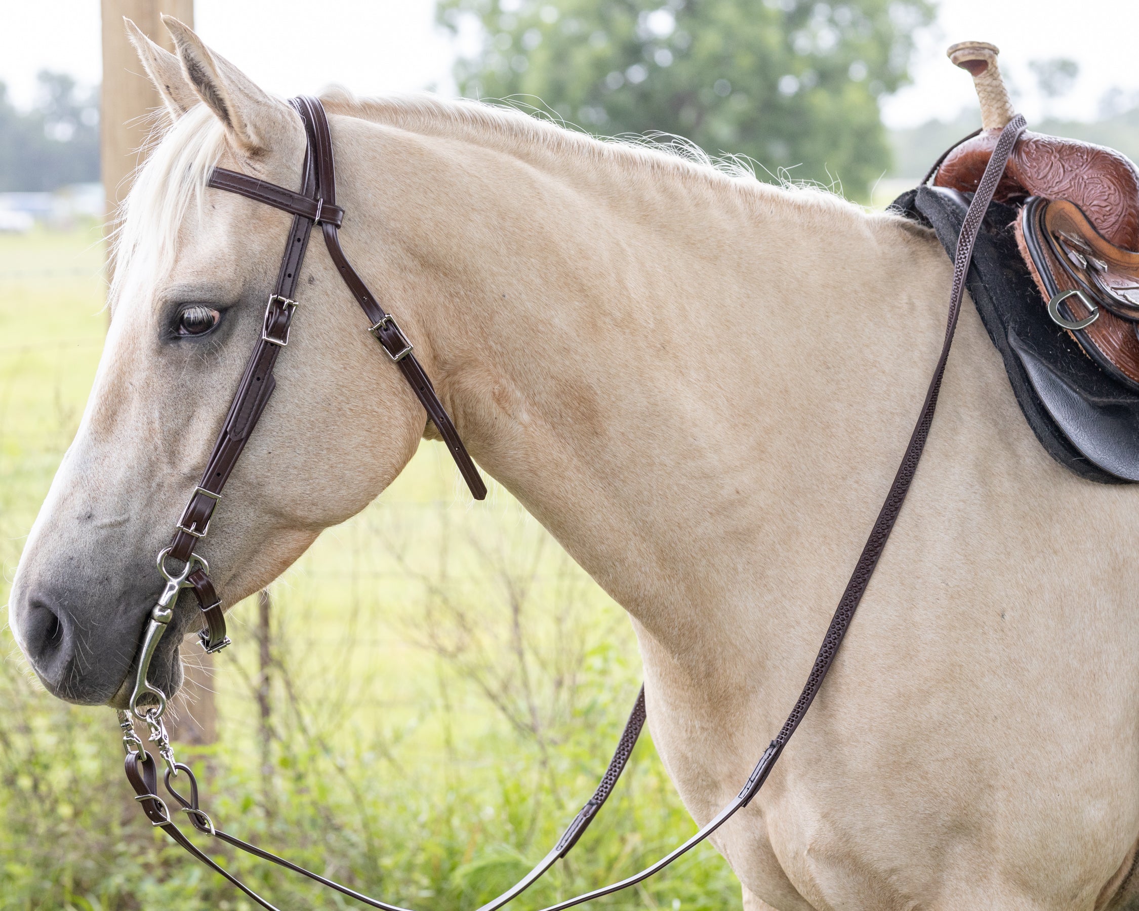 Bridle shop