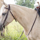 Brown Western Bridle