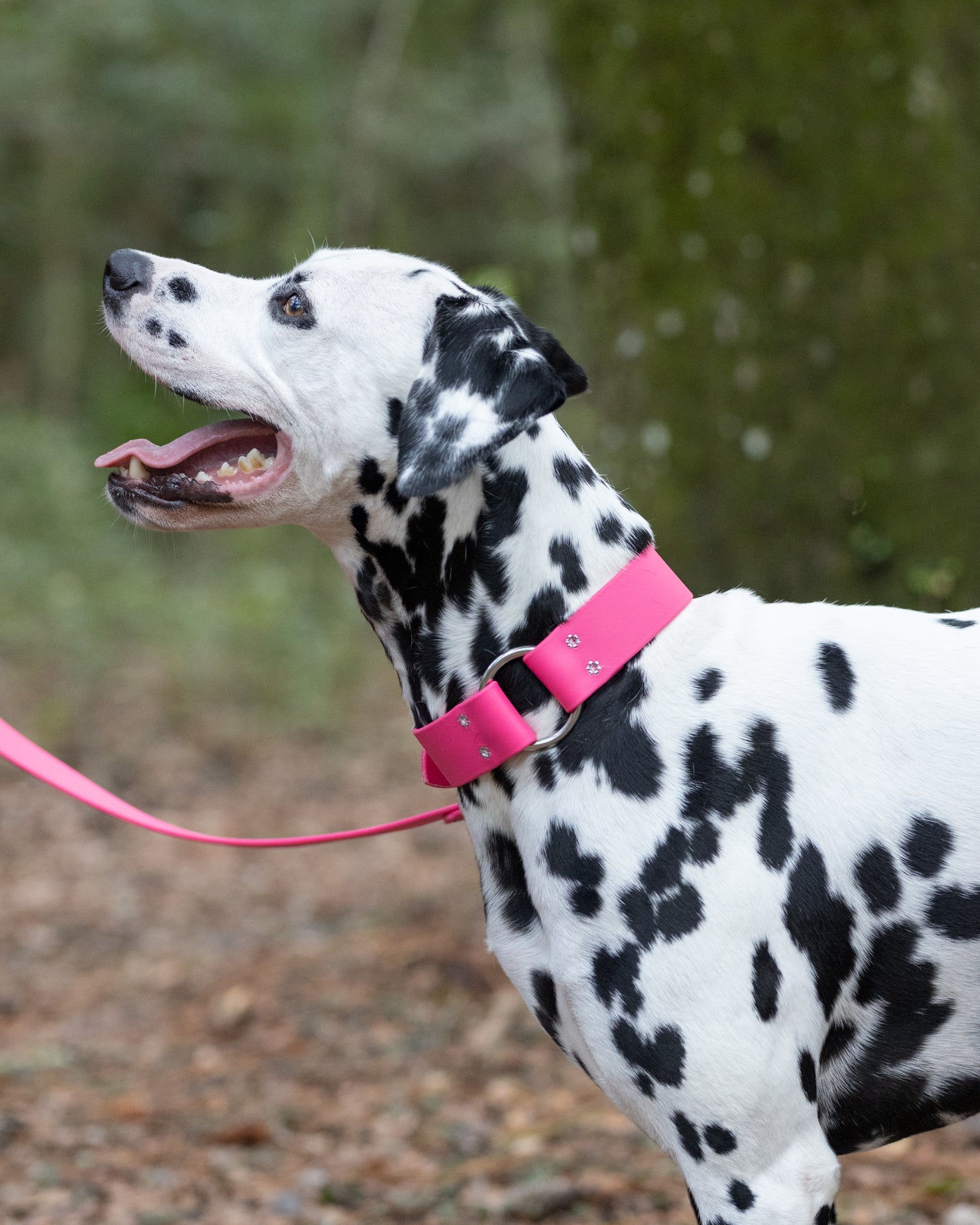 Bubblegum Pink Center Ring Beta Biothane Dog Collar