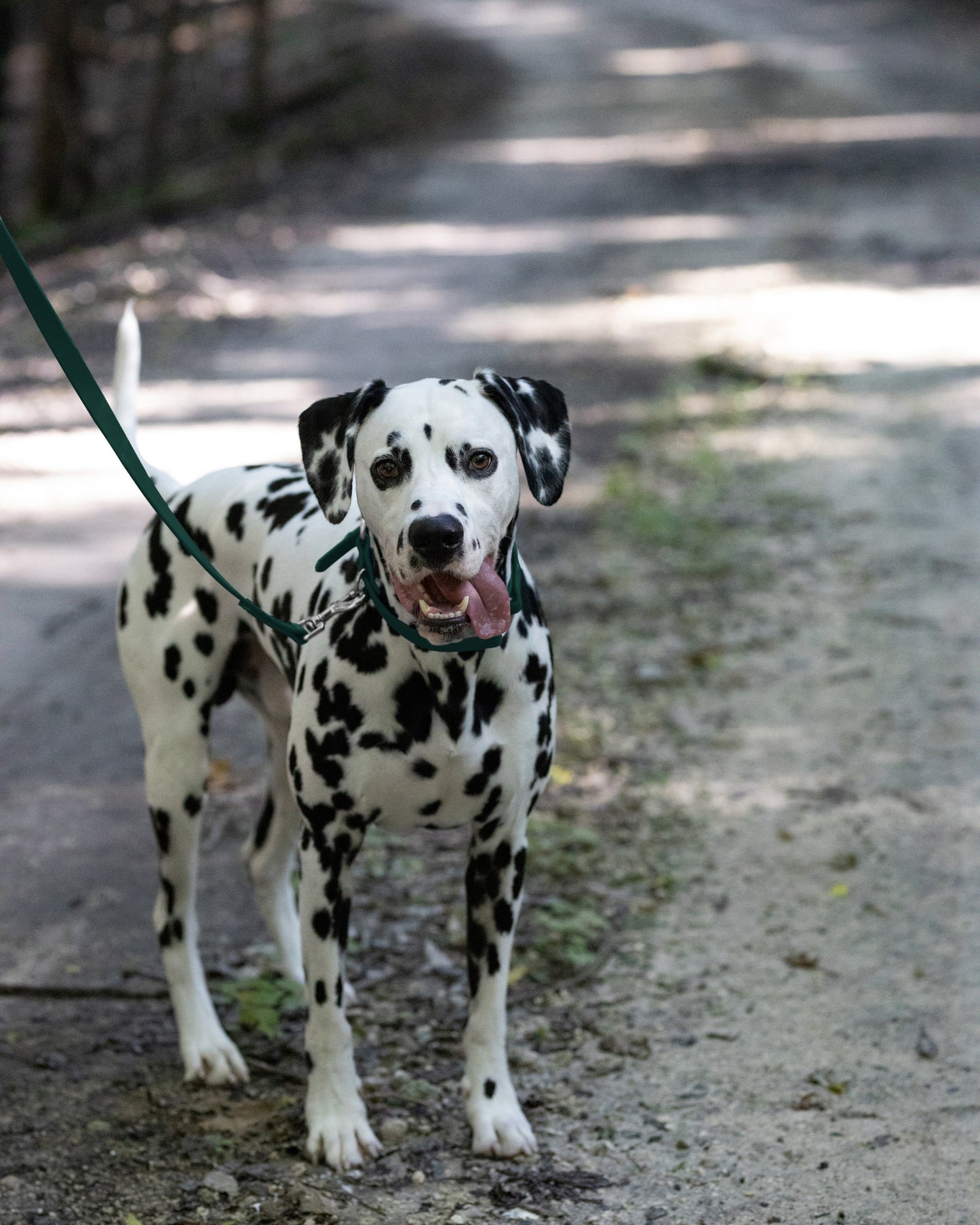 Hunter Green Center Ring Beta Biothane Dog Collar