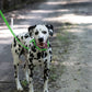 Lime Green Center Ring Beta Biothane Dog Collar