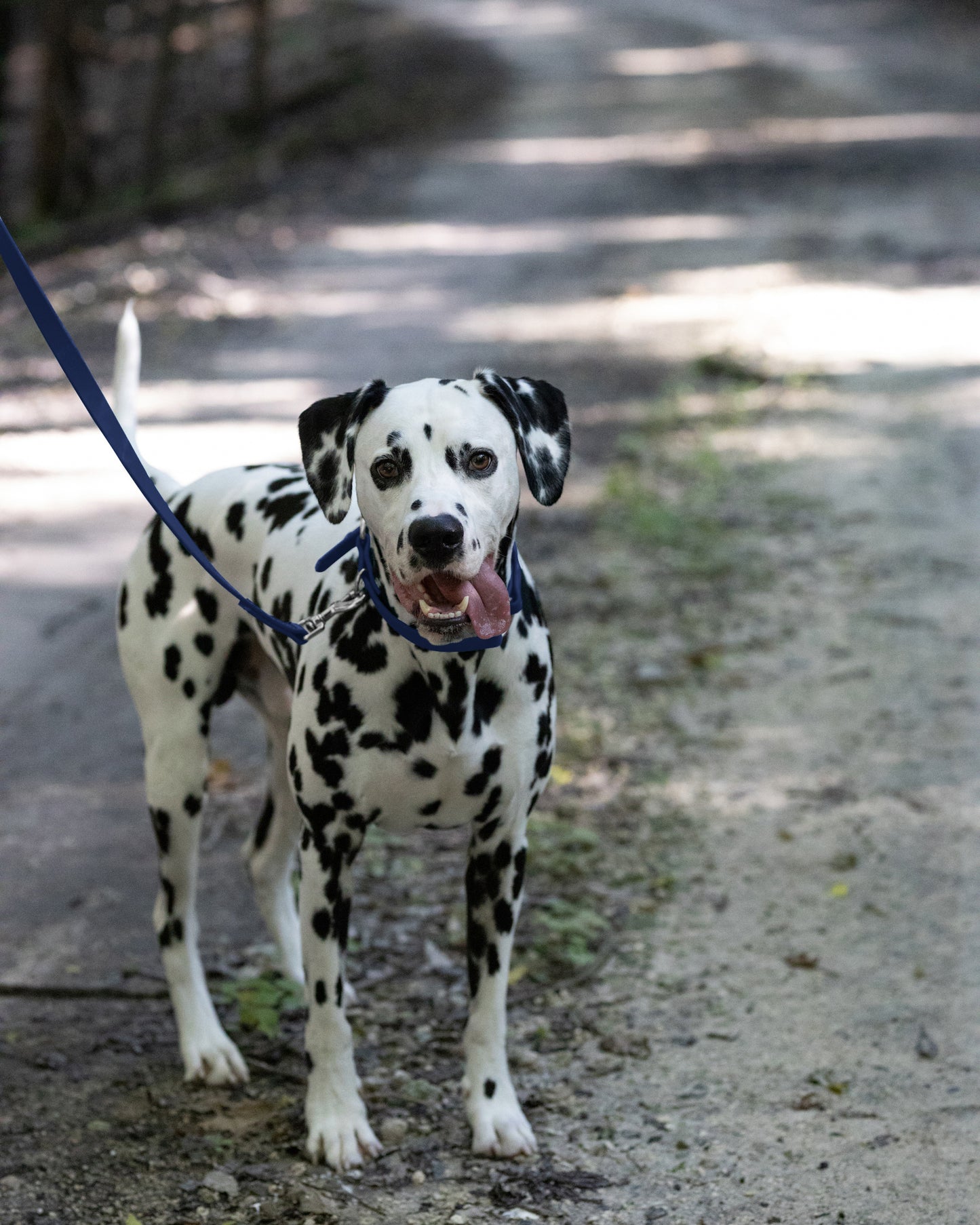 Navy Blue Center Ring Beta Biothane Dog Collar