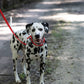 Red Center Ring Beta Biothane Dog Collar