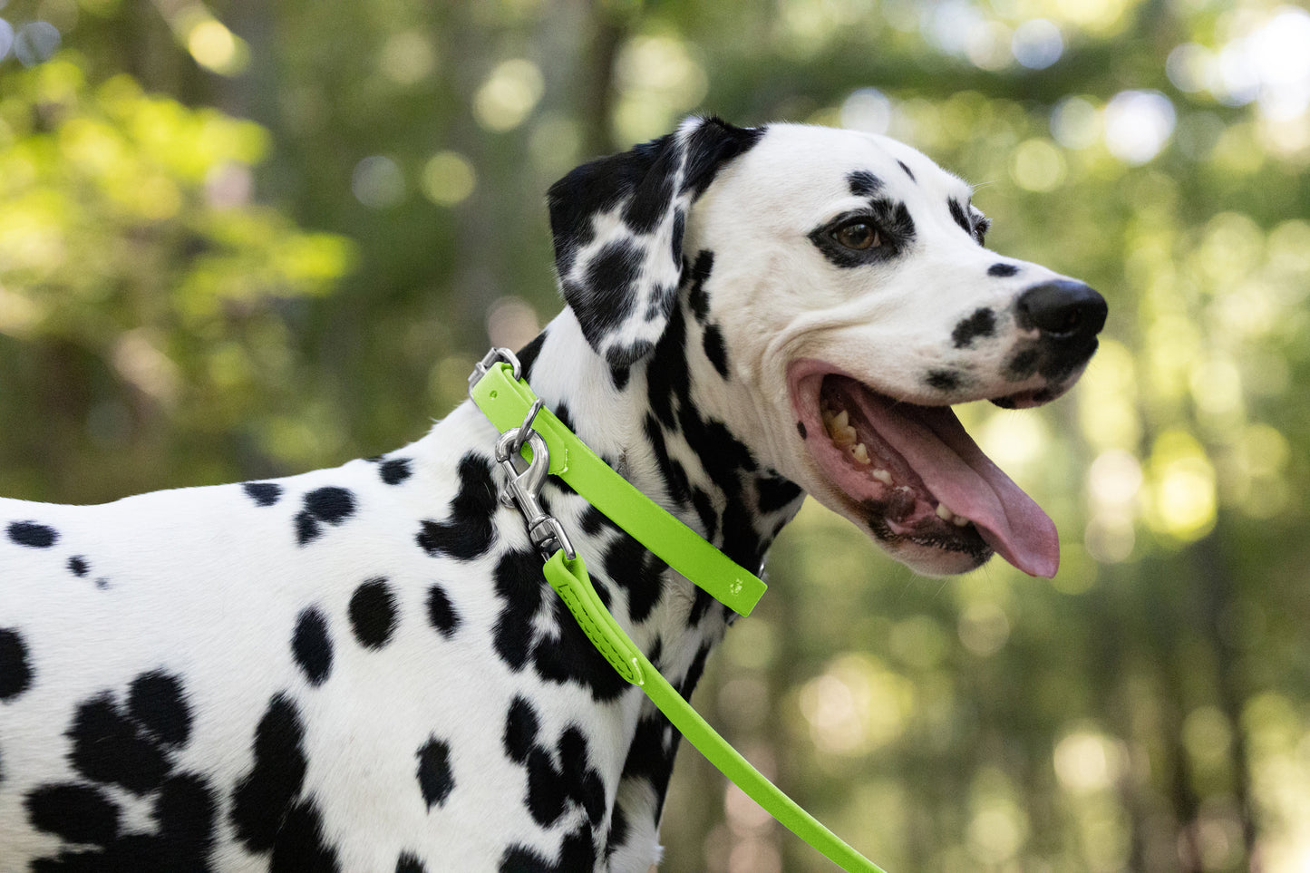 Apple Green Beta Biothane Dog Collar