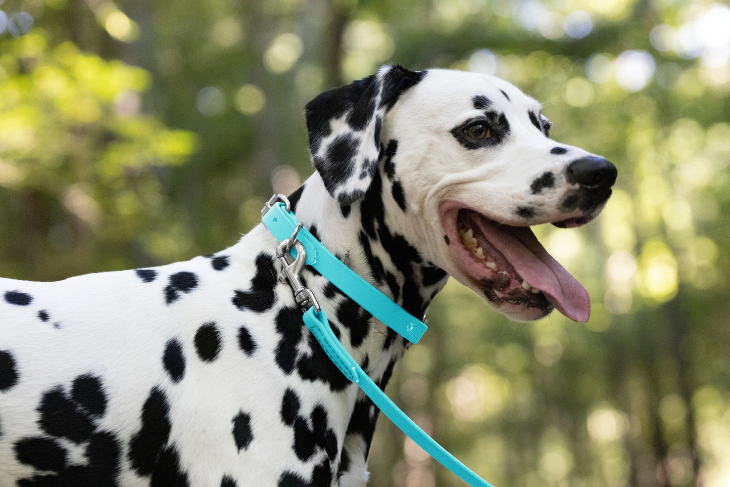 Baby Blue Beta Biothane Dog Collar