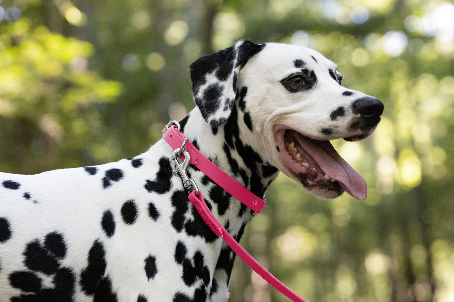 Bubblegum Pink Beta Biothane Dog Collar