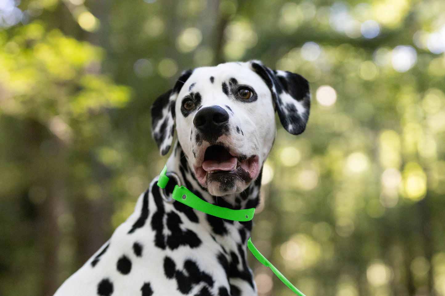 Lime Green Center Ring Beta Biothane Dog Collar