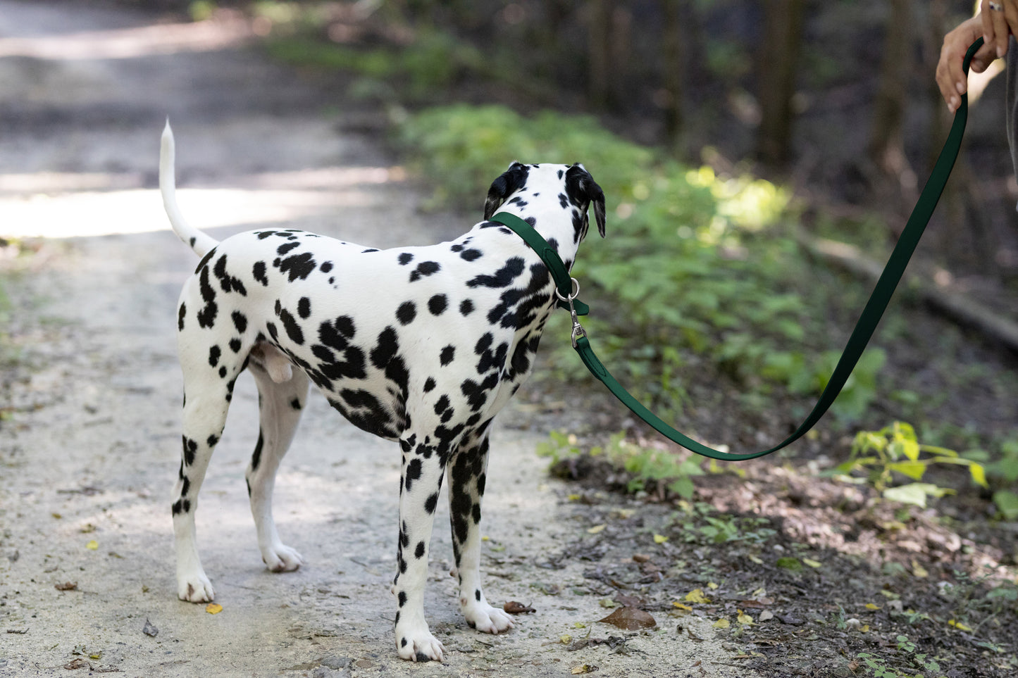 Hunter Green Center Ring Beta Biothane Dog Collar