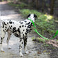 Lime Green Center Ring Beta Biothane Dog Collar