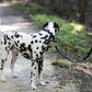 Navy Blue Center Ring Beta Biothane Dog Collar