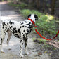 Red Center Ring Beta Biothane Dog Collar