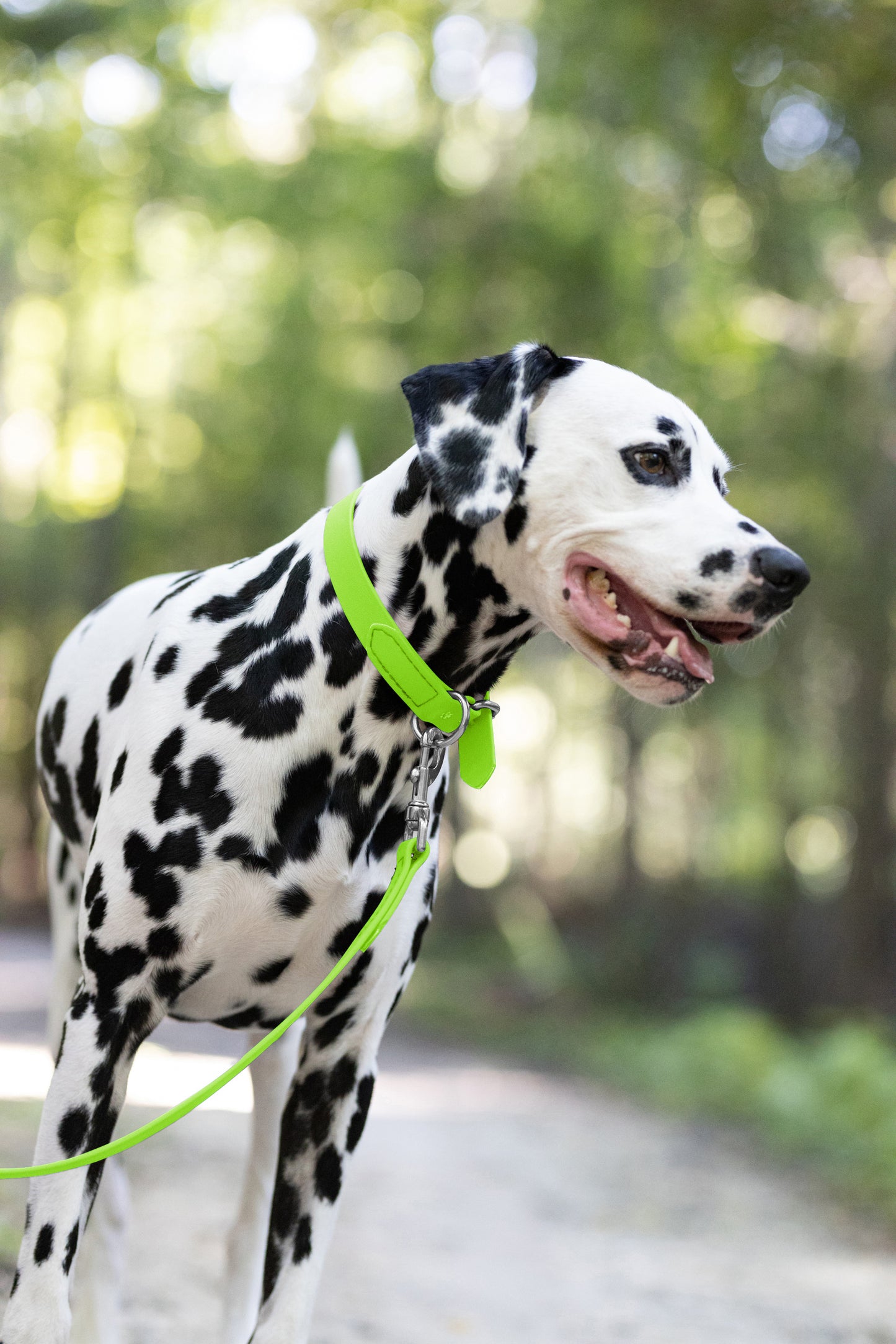 Apple Green Beta Biothane Dog Collar