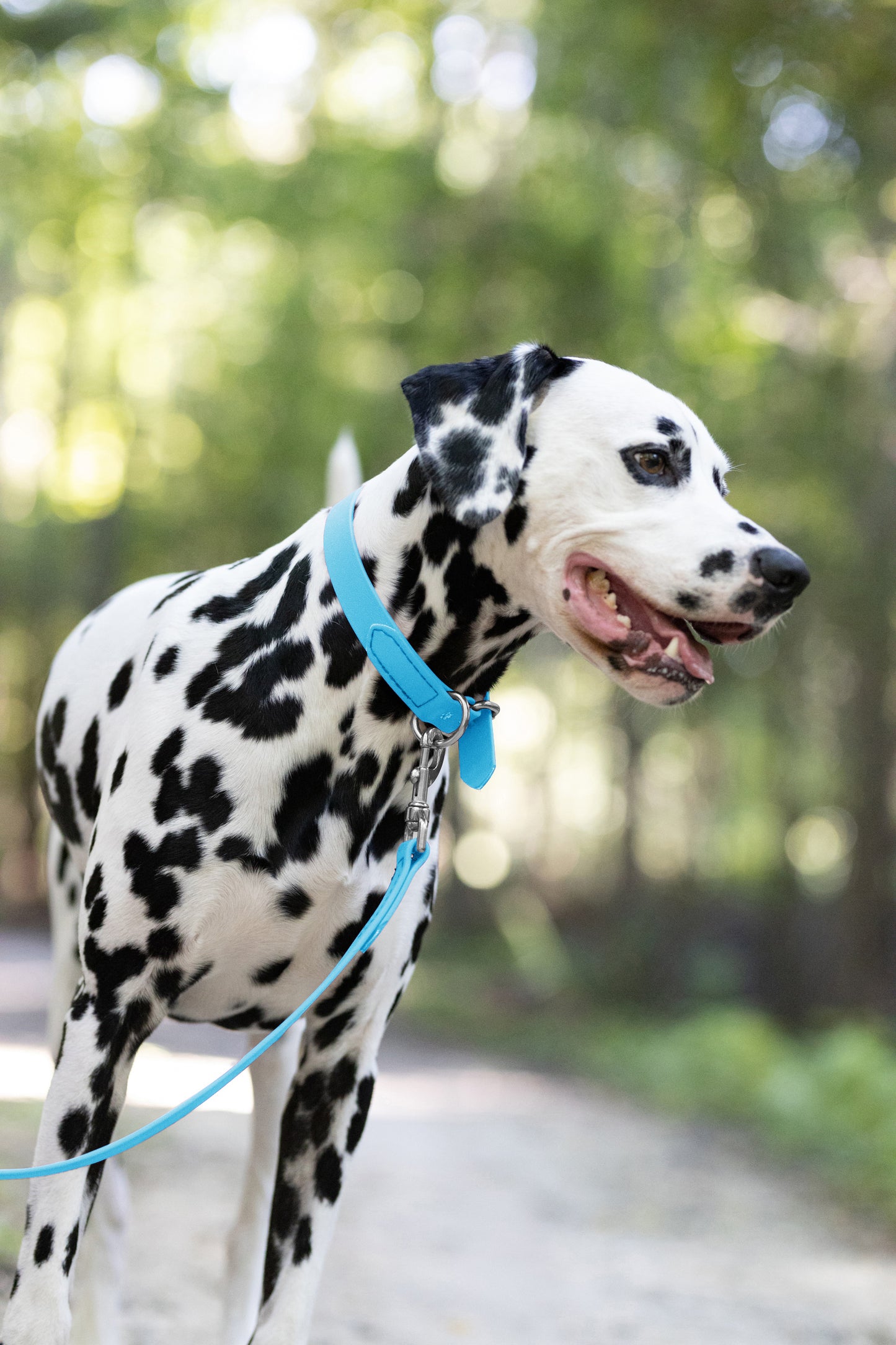 Baby Blue Beta Biothane Dog Collar