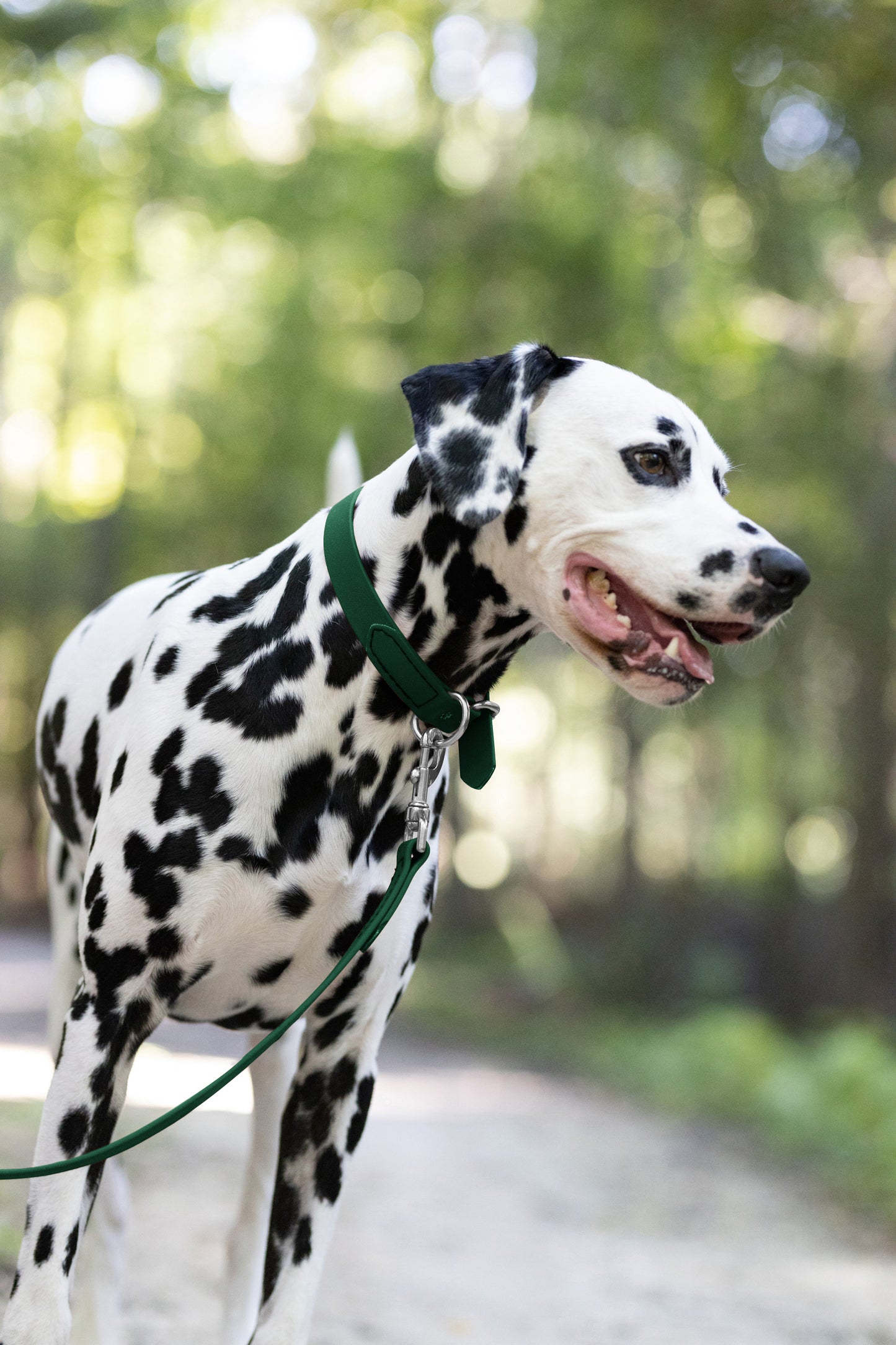 Hunter Green Beta Biothane Dog Collar