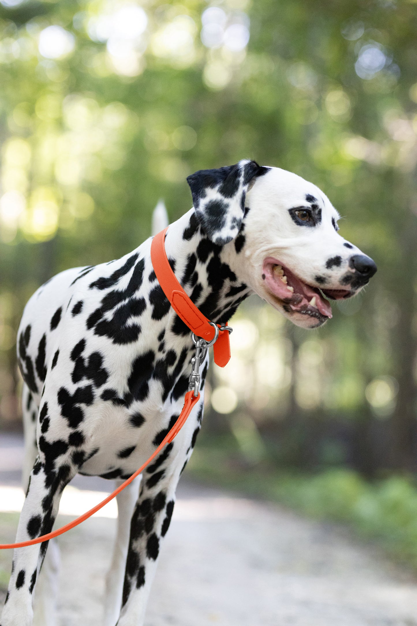 Hunter's Orange Beta Biothane Dog Collar