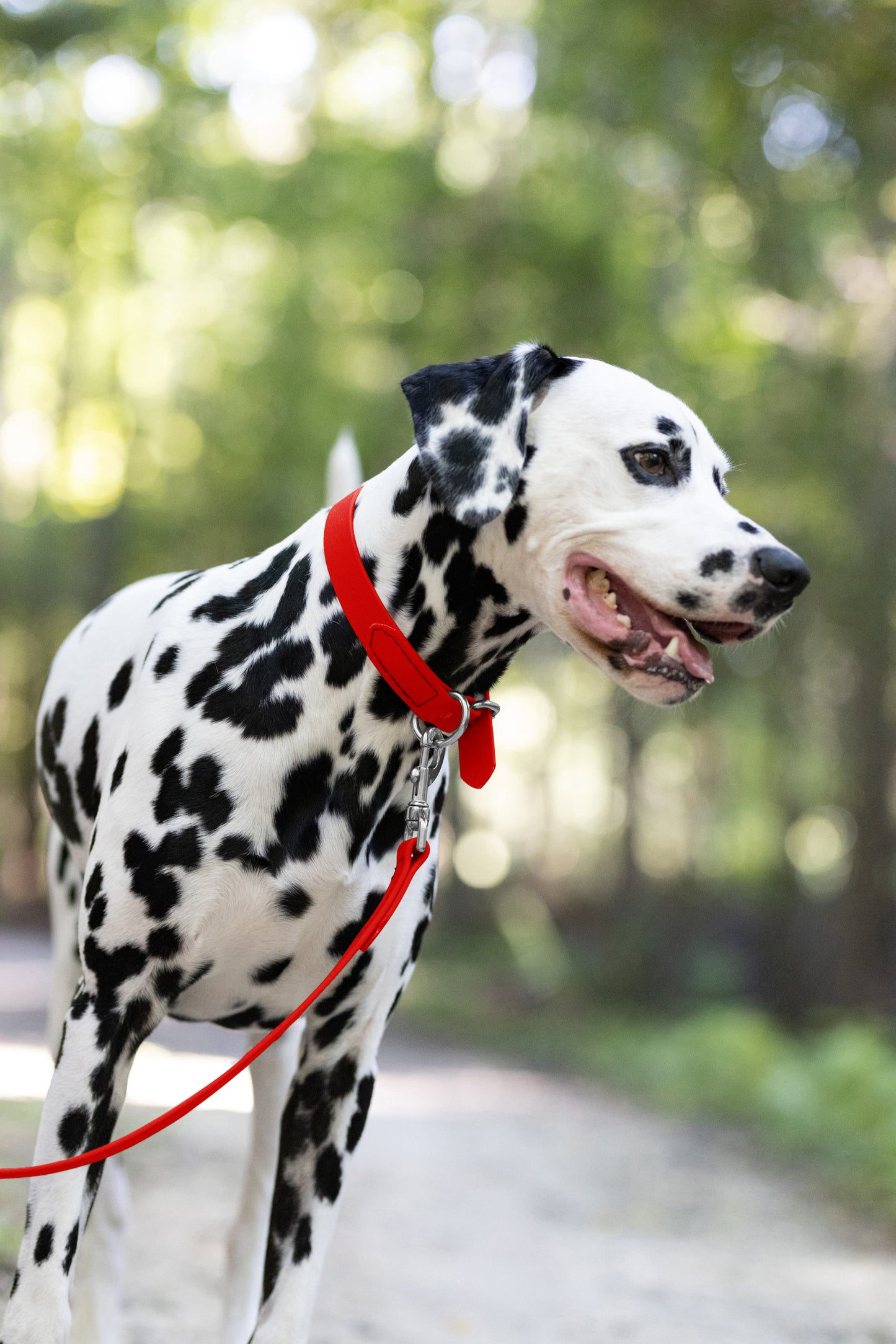 Red Beta Biothane Dog Collar