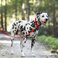 Red Wide Dog Collar