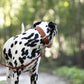 Medium Brown Wide Dog Collar
