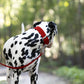 Red Wide Dog Collar