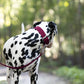 Maroon Wide Dog Collar