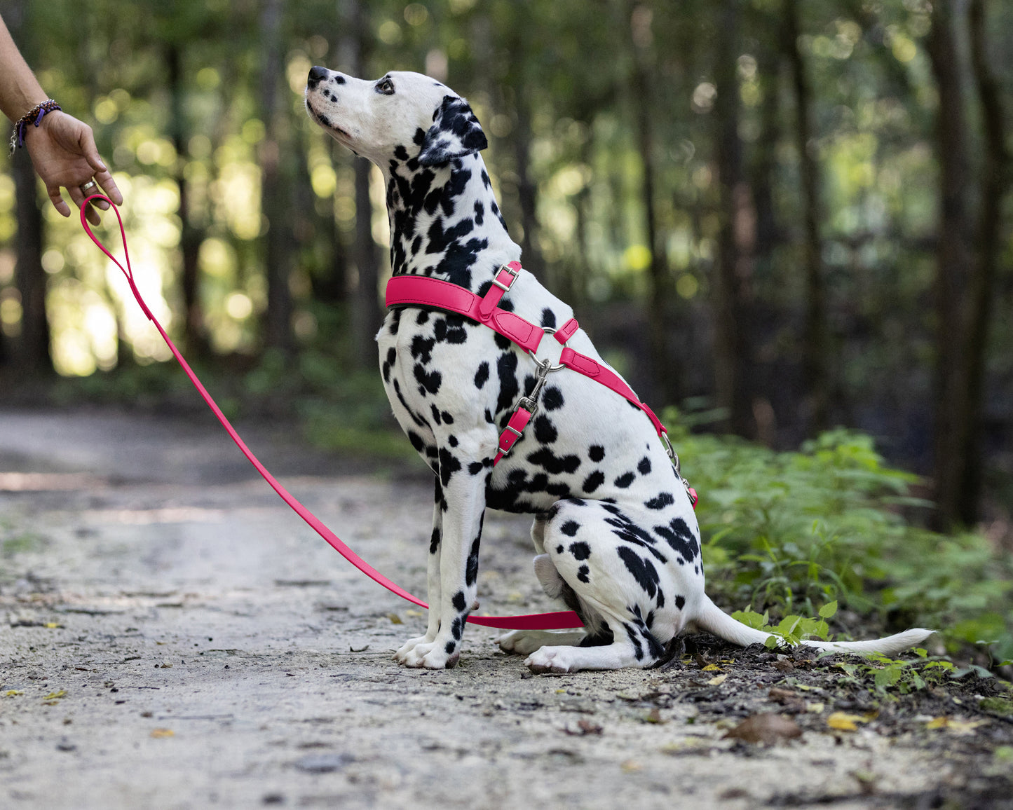 Bubblegum Pink Dog Roading Harness