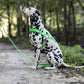 Lime Green Dog Roading Harness