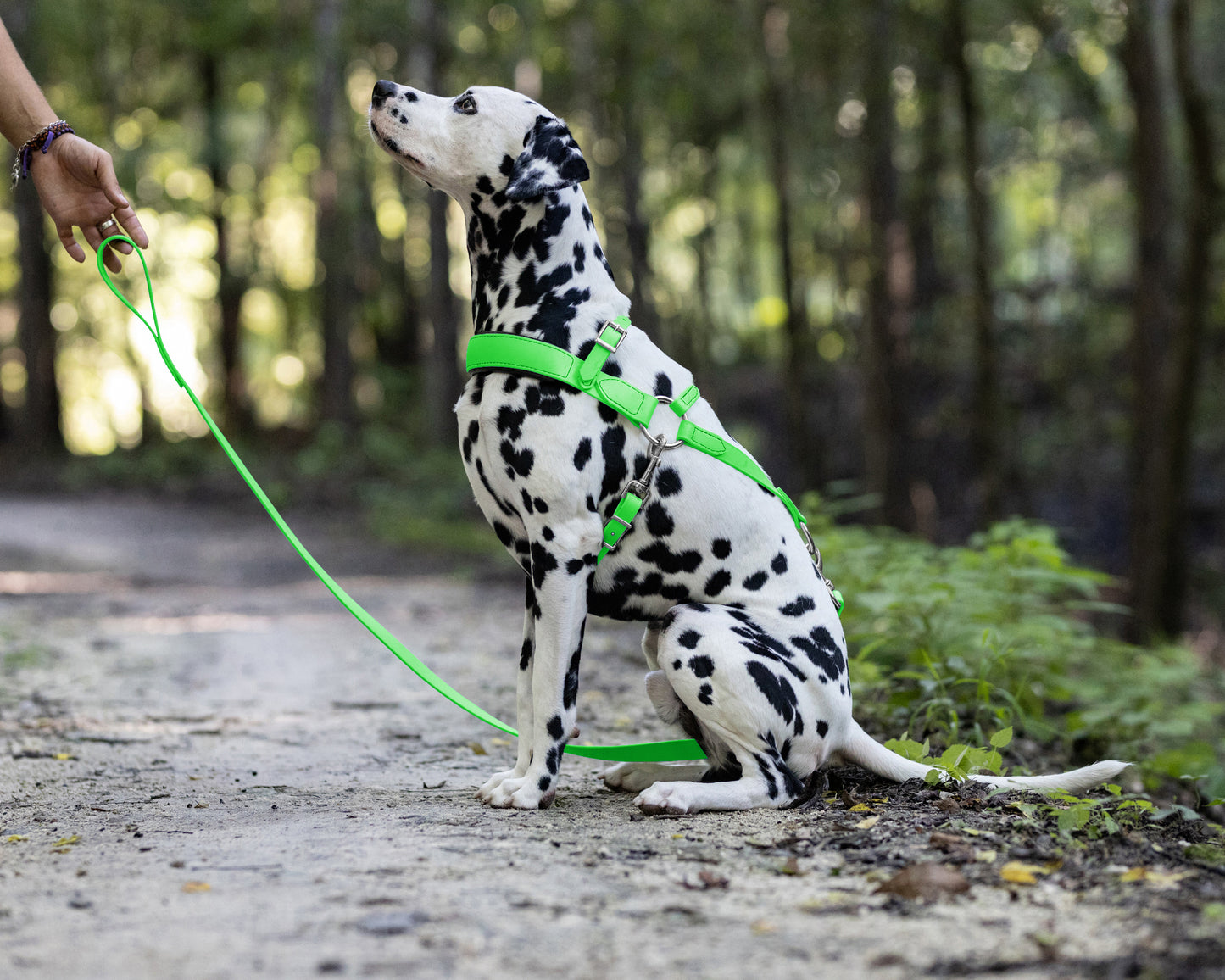 Lime Green Dog Roading Harness