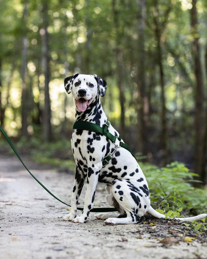 Hunter Green Dog Roading Harness