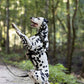 Black Dog Roading Harness