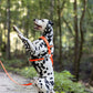 Hunter's Orange Dog Roading Harness