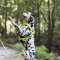 Safety Yellow Dog Roading Harness
