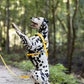 Sunflower Yellow Dog Roading Harness