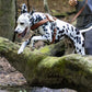 Medium Brown Dog Roading Harness