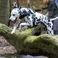 Navy Blue Dog Roading Harness