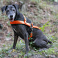 Hunter's Orange Dog Roading Harness