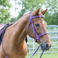 Purple English Bridle