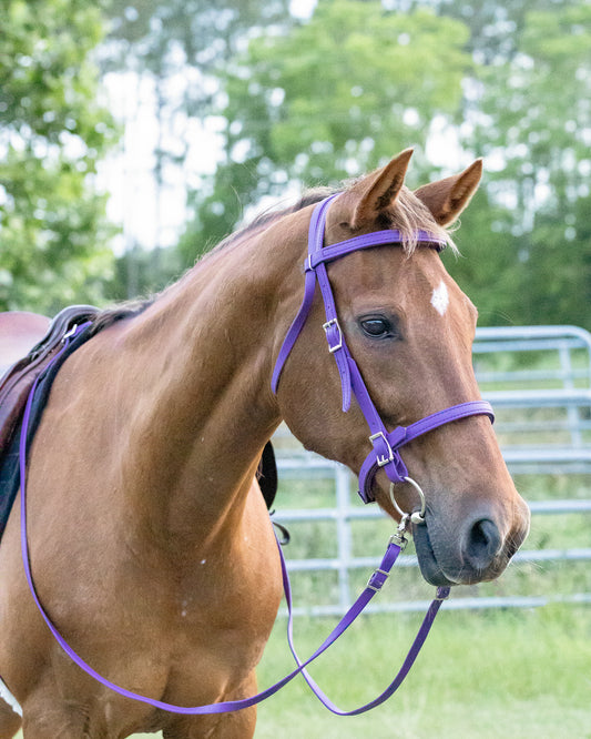 Purple English Bridle