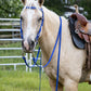 Blue Western Bridle
