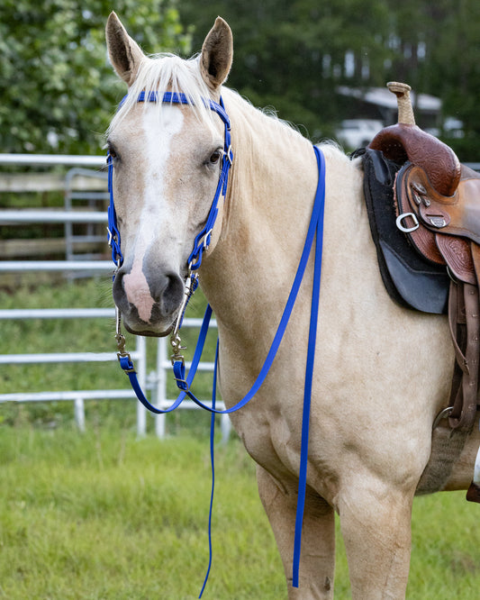 Blue Western Bridle