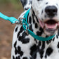 Teal Beta Biothane Dog Collar