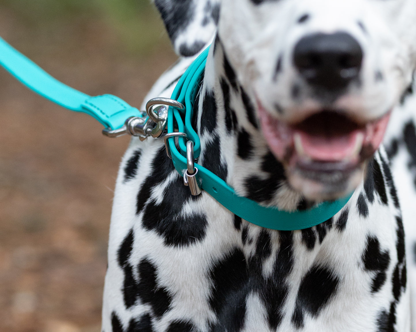 Teal Beta Biothane Dog Collar