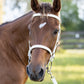 White English Bridle