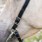 Black Western Bridle
