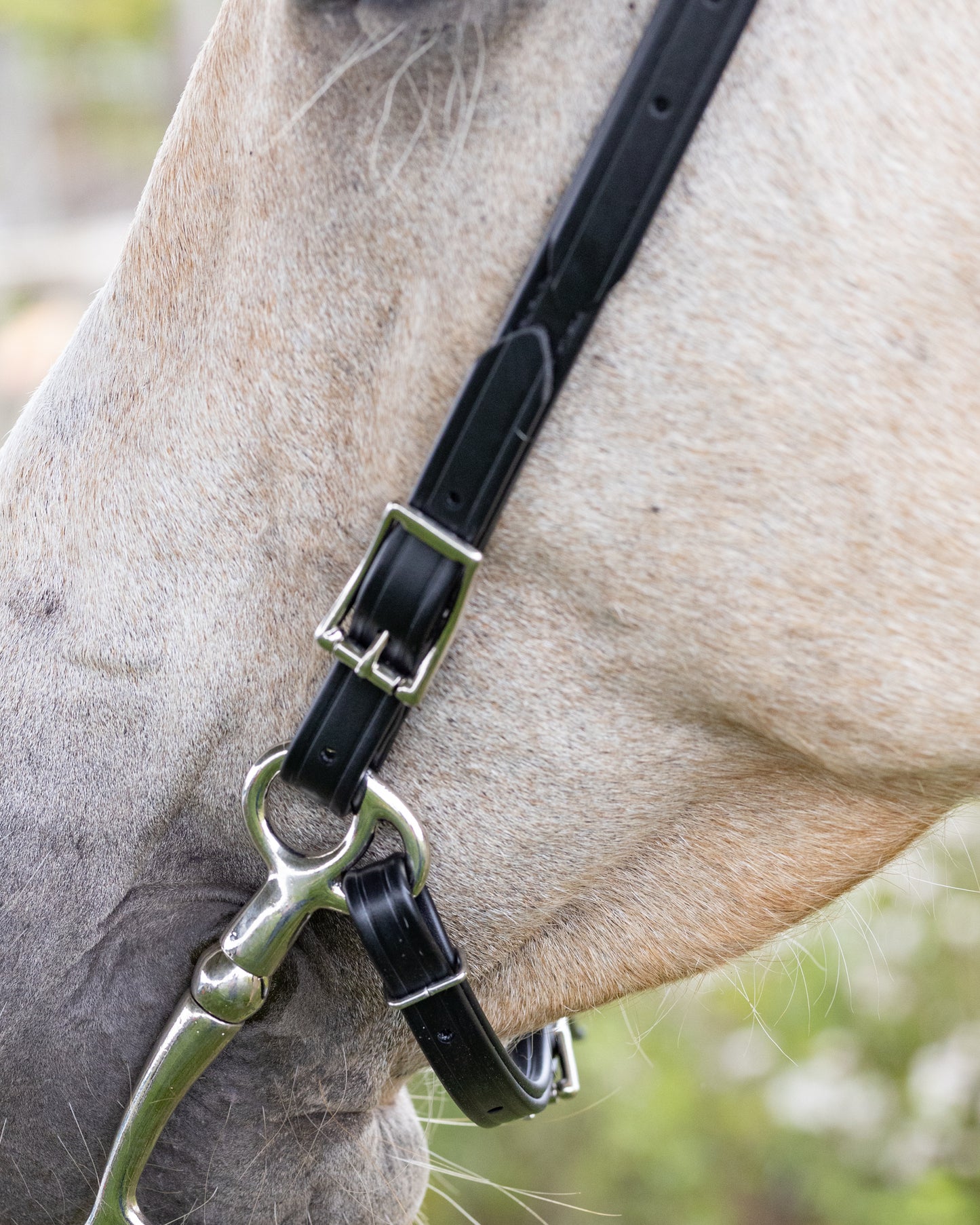 Black Western Bridle